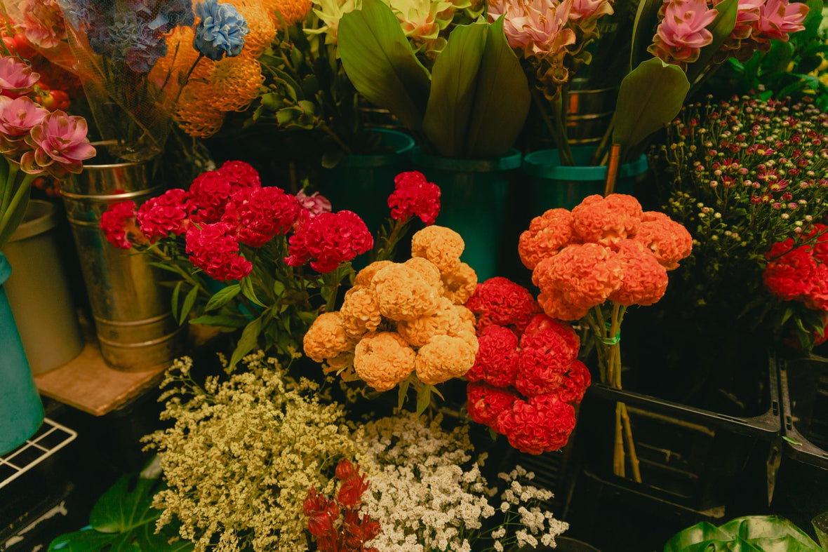 From Bouquets to Planters: Building a Beautiful Floral Collection