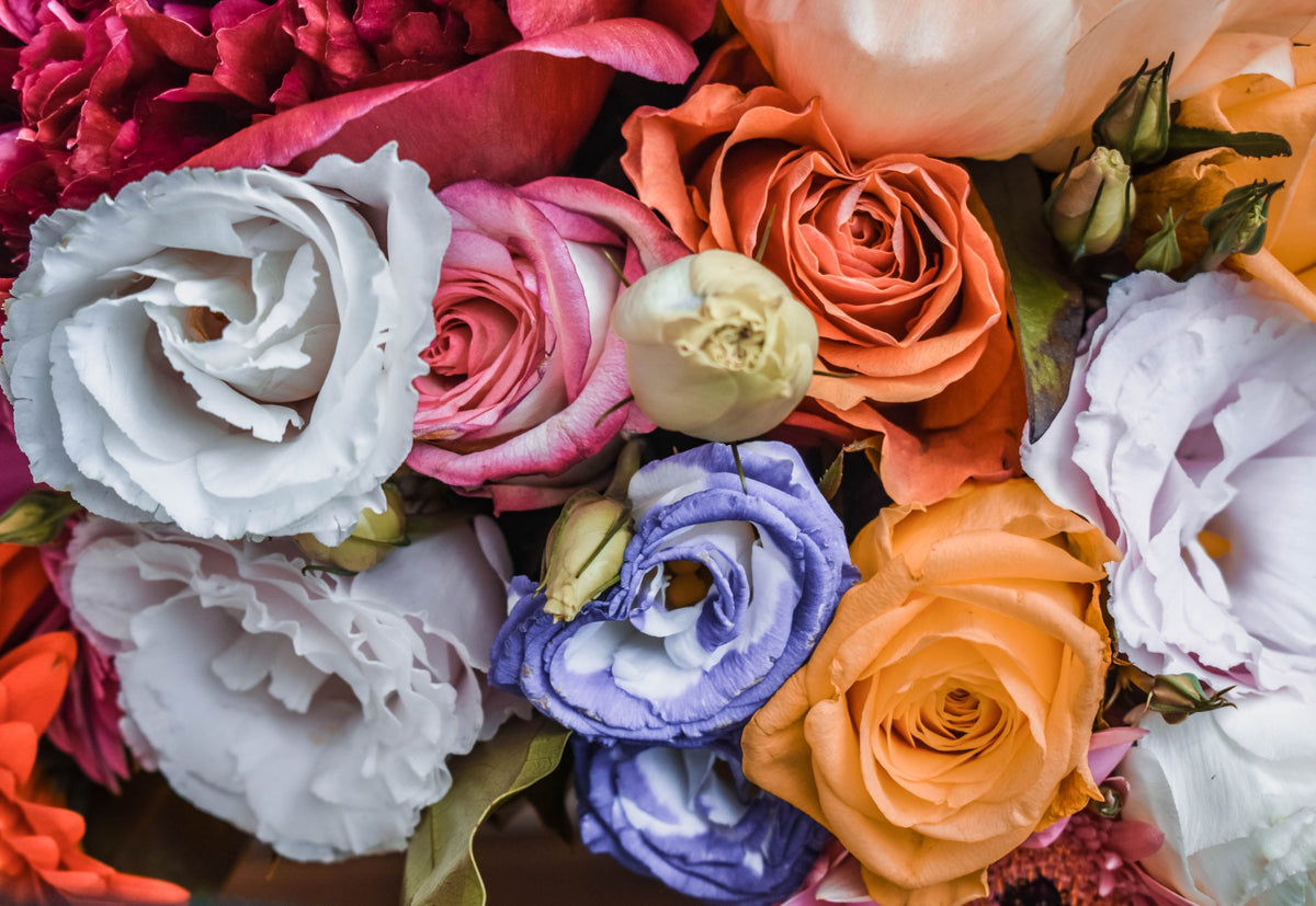 Floral Favorites