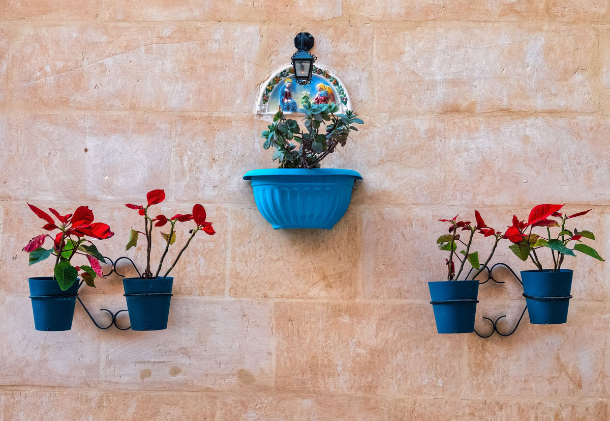 The Planter Collection