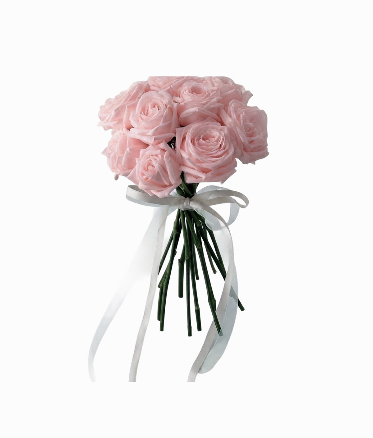 Eternal Rose Collection